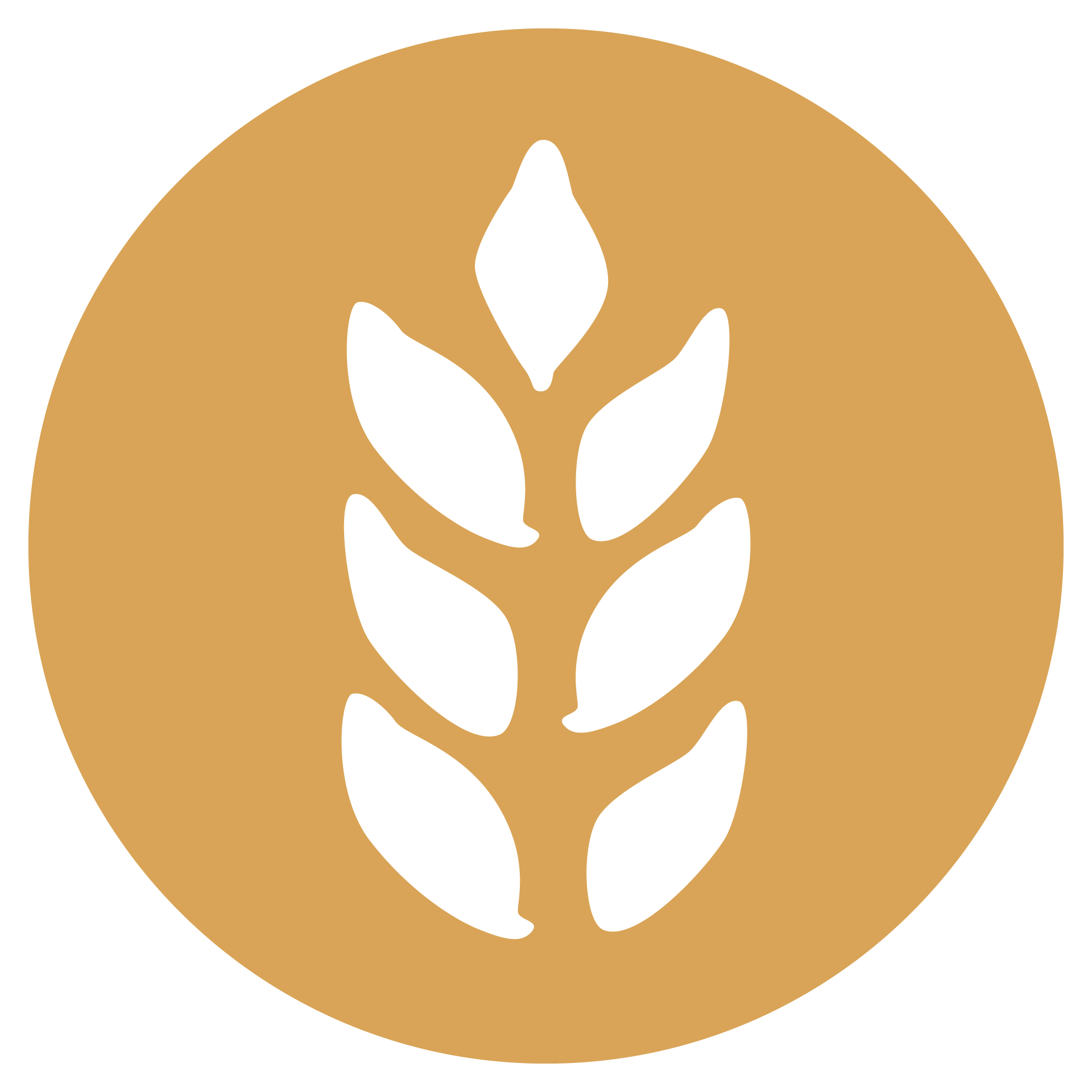 wheat allergen icon