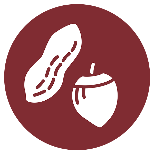 nuts allegen icon