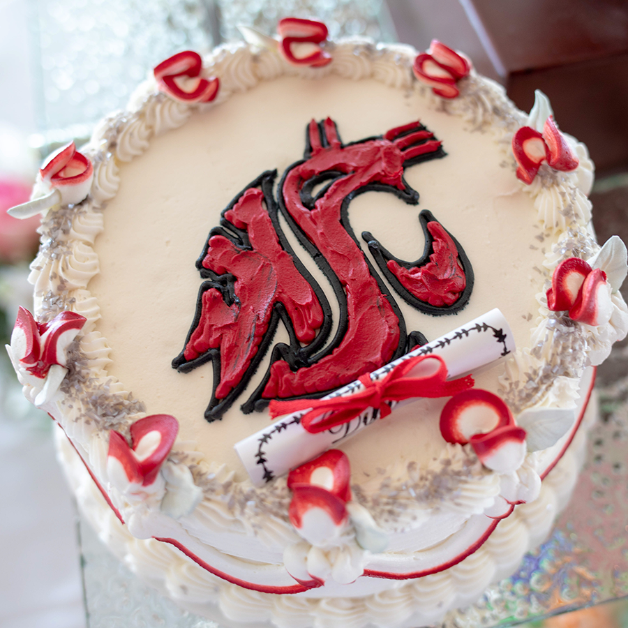 Special Occasion Cakes